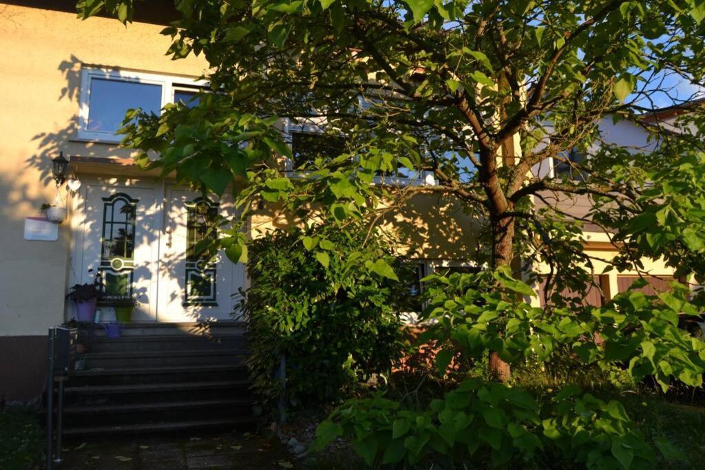 Maison Madlene Frickenhausen  ภายนอก รูปภาพ